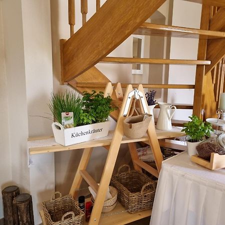 Huber Panzio Bed and Breakfast Fertőrákos Εξωτερικό φωτογραφία