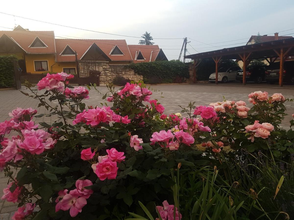 Huber Panzio Bed and Breakfast Fertőrákos Εξωτερικό φωτογραφία
