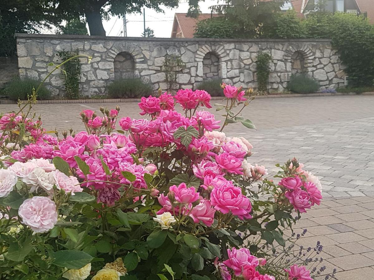 Huber Panzio Bed and Breakfast Fertőrákos Εξωτερικό φωτογραφία