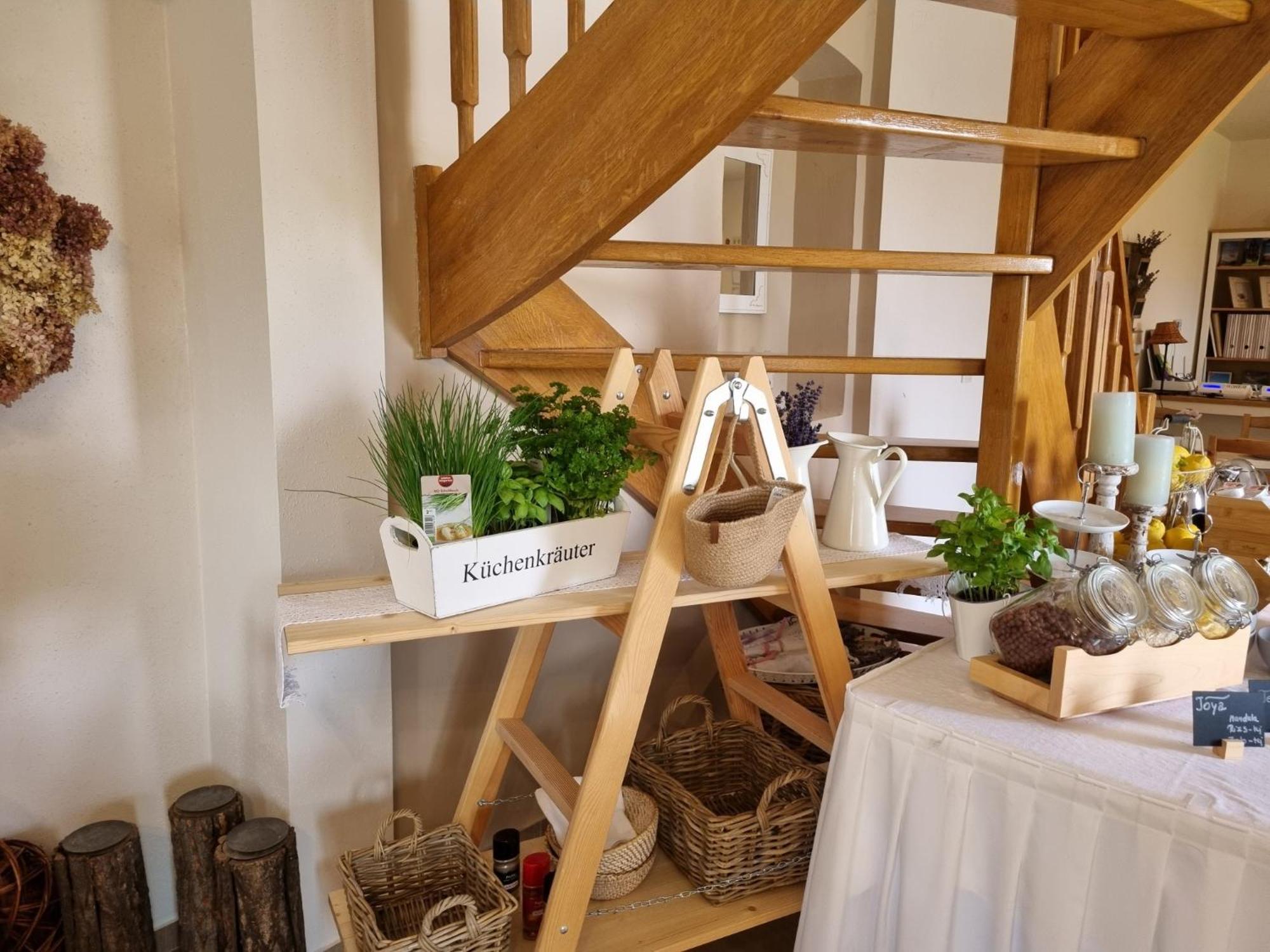 Huber Panzio Bed and Breakfast Fertőrákos Εξωτερικό φωτογραφία