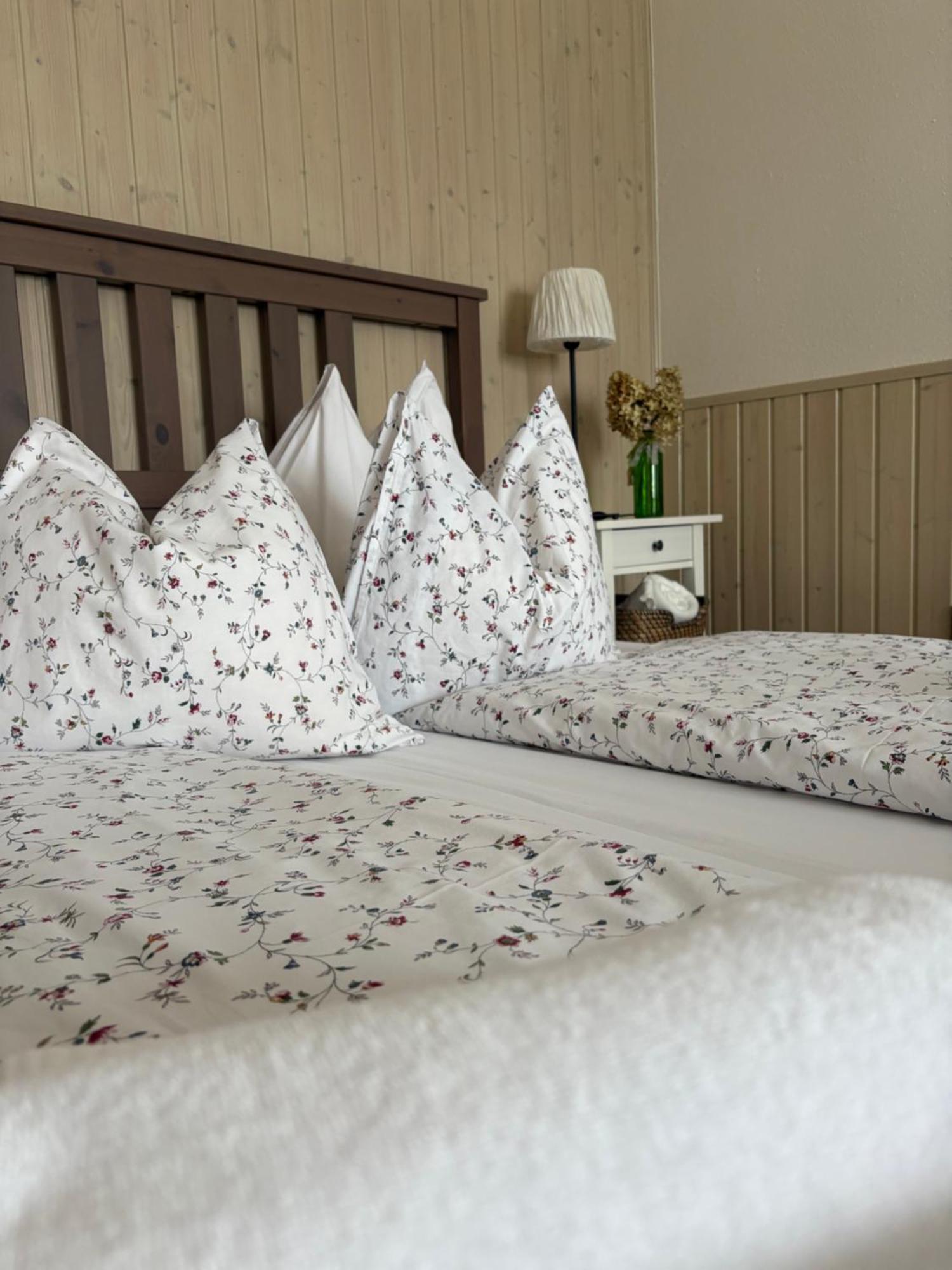 Huber Panzio Bed and Breakfast Fertőrákos Εξωτερικό φωτογραφία