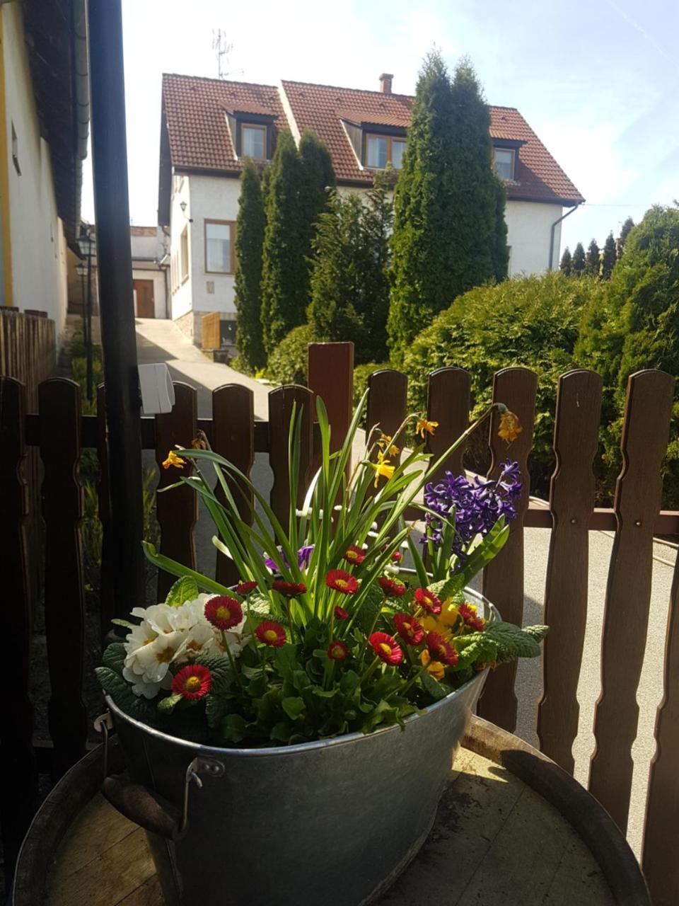Huber Panzio Bed and Breakfast Fertőrákos Εξωτερικό φωτογραφία