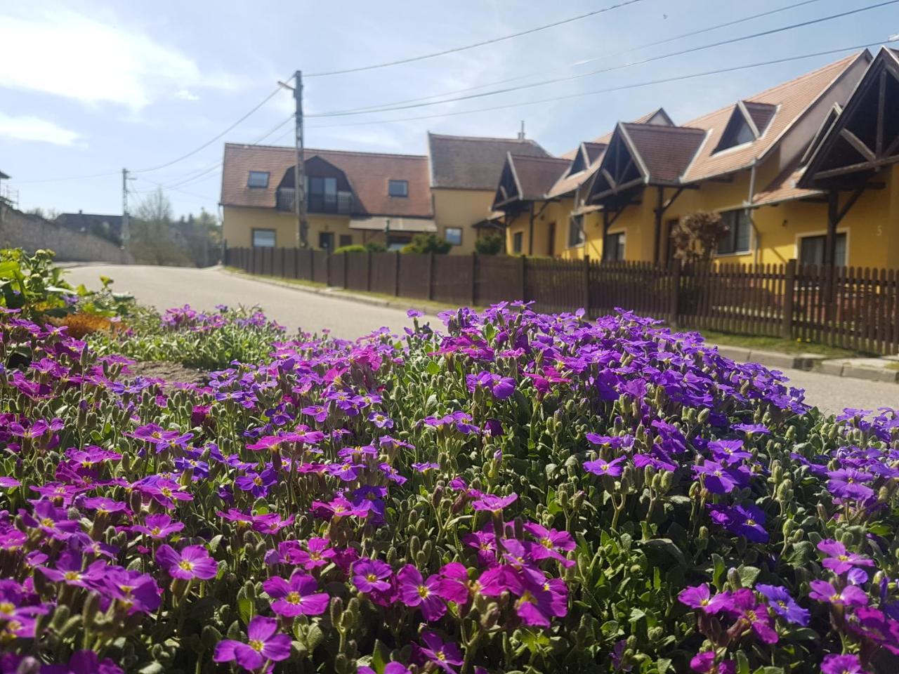 Huber Panzio Bed and Breakfast Fertőrákos Εξωτερικό φωτογραφία